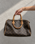 Louis Vuitton Monogram Speedy handbag