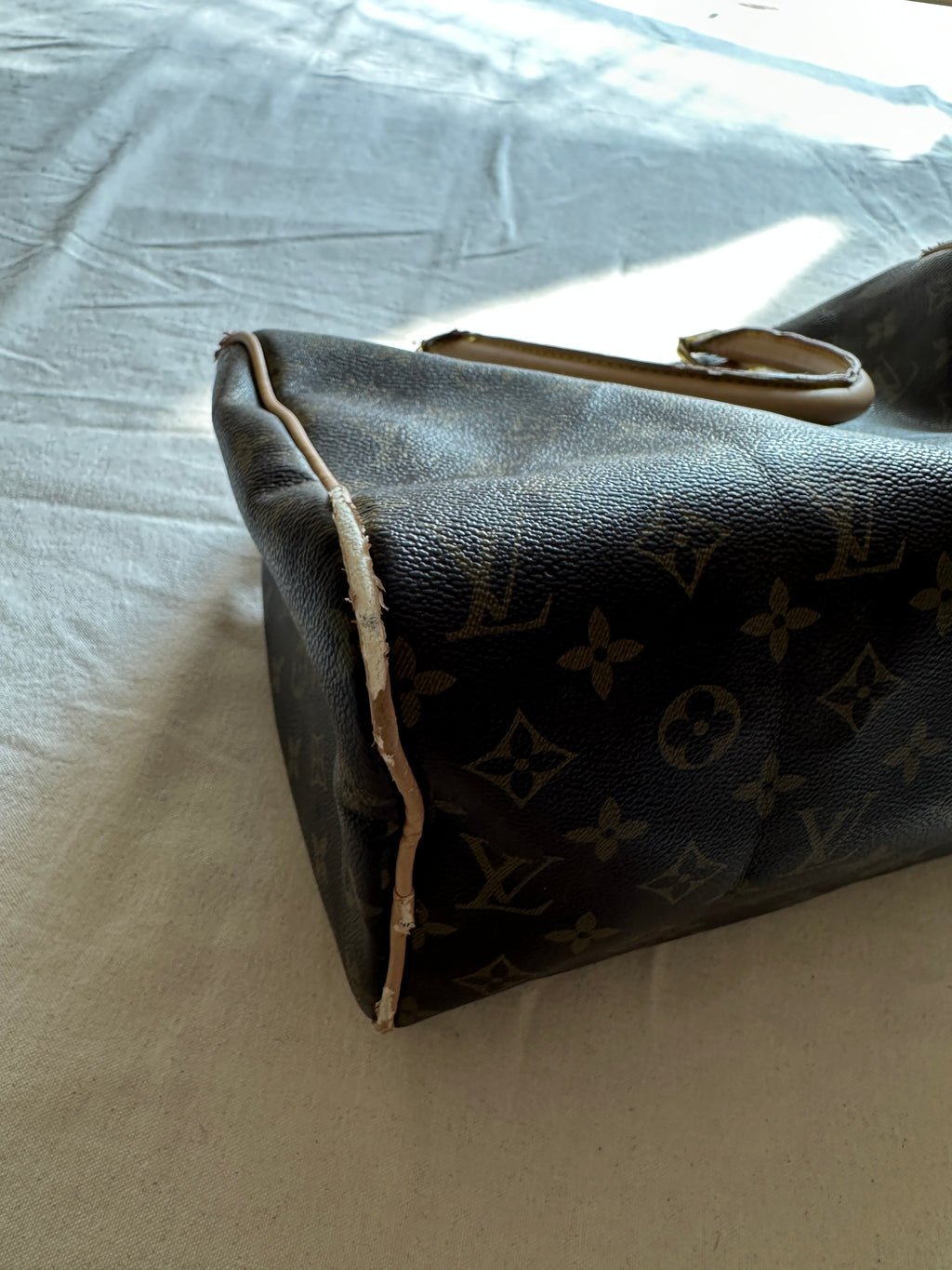 Louis Vuitton Monogram Speedy handbag