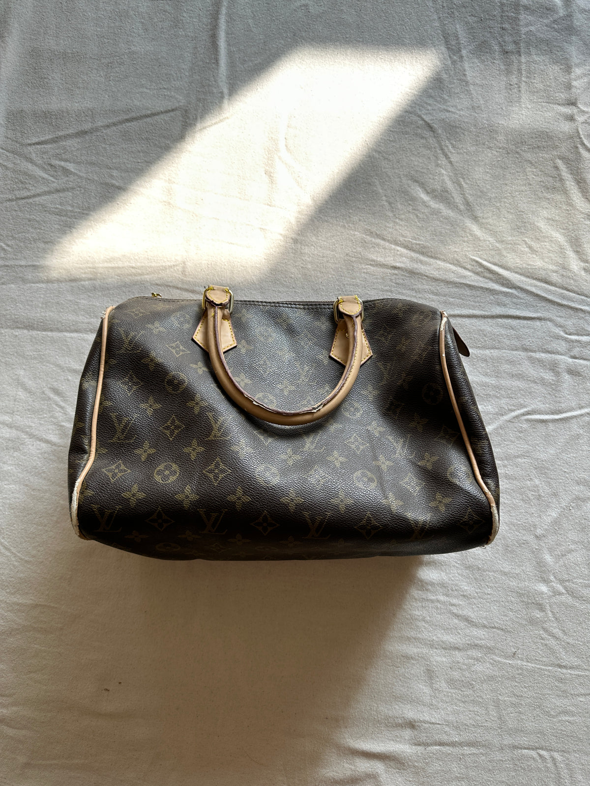 Louis Vuitton Monogram Speedy handbag