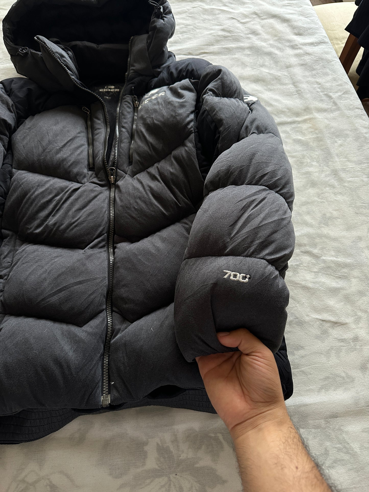 Eider - M
