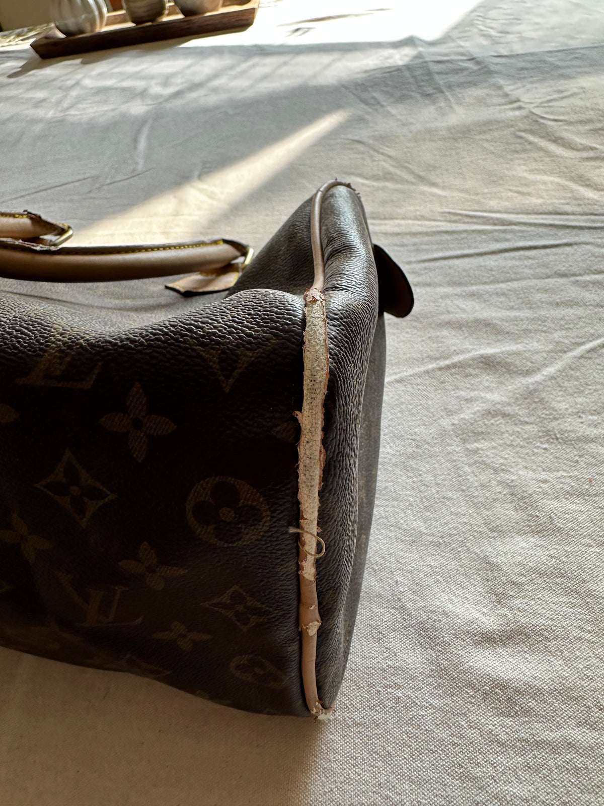 Louis Vuitton Monogram Speedy handbag